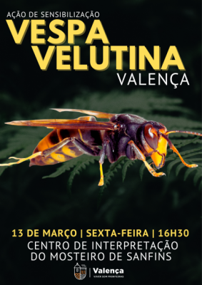 A&ccedil;&atilde;o de Sensibiliza&ccedil;&atilde;o sobre a Vespa Velutina