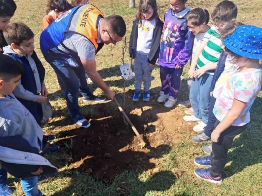 Dia Mundial da &Aacute;rvore assinalado na freguesia com planta&ccedil;&atilde;o de &aacute;rvores.