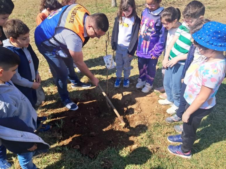 Dia Mundial da &Aacute;rvore assinalado na freguesia com planta&ccedil;&atilde;o de &aacute;rvores.
