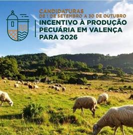 Candidaturas Abertas ao Incentivo Municipal &agrave; Produ&ccedil;&atilde;o Pecu&aacute;ria 2026