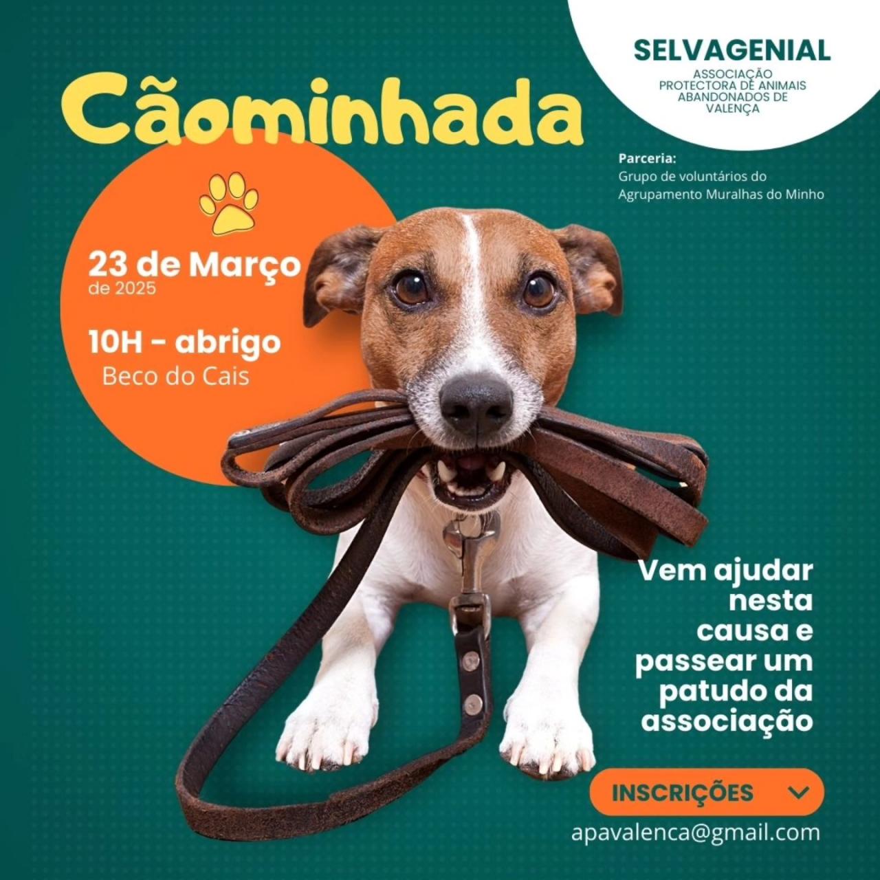 Cãominhada