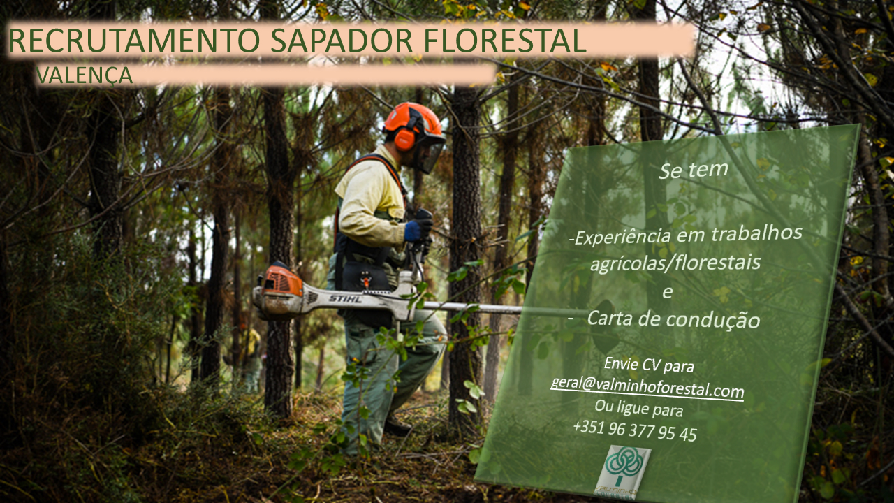 RECRUTAMENTO: SAPADOR FLORESTAL (VALEN&Ccedil;A)