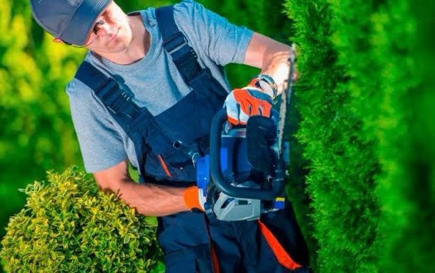 EMPRESA ESPANHOLA LOCALIZADA EM VIGO, PRECISA DE JARDINEIROS